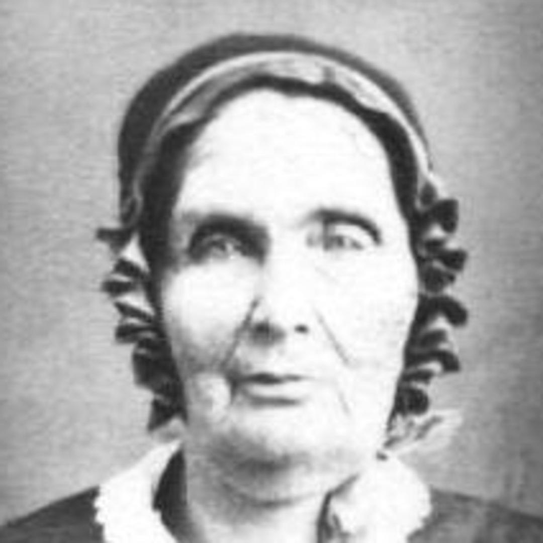 Paulina H Clarissa Spink (1800 - 1885) Profile